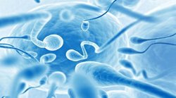 Men’s Health: यदि आप भी करते हैं मोबाइल फोन का अधिक इस्तेमाल, तो कम हो सकता है स्पर्म काउंट