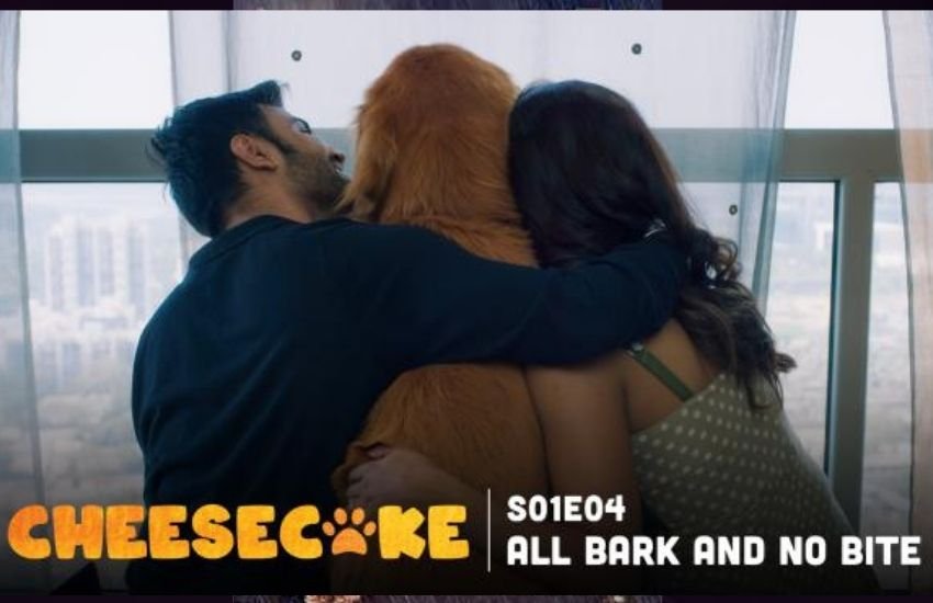 चीज़केक वेब सीरीज रिलेशनशिप की समस्याओं को सुलझाने पर बेस्ड है और एक ऐसे कपल की कहानी भी है जो एक कुत्ते को रेस्क्यू करने की कोशिश करते हैं। दोनों की शादी टूटने के कगार पर होती है लेकिन इसी कुत्ते की वजह से ऐसा होने से बच जाता है।
