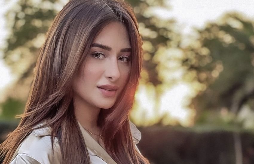 बिग बॉस 13 से माहिरा शर्मा टीवी जगत का एक नामी चेहरा बन गईं। बिग बॉस से बाहर आने के बाद माहिरा शर्मा के पास काम की कोई कमी नहीं थी। पहले तो माहिरा शर्मा को कई म्यूजिक वीडियोज में काम करने का मौका मिला। जिसके बाद माहिरा शर्मा ने पंजाबी फिल्मों की तरफ रुख कर लिया।