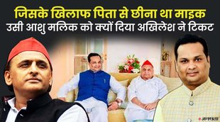 UP Election