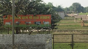 Ayodhya Land Deal