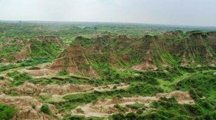 bandit queen of chambal lovely pandey, bandit queen, chambal