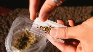 drugs, delhi