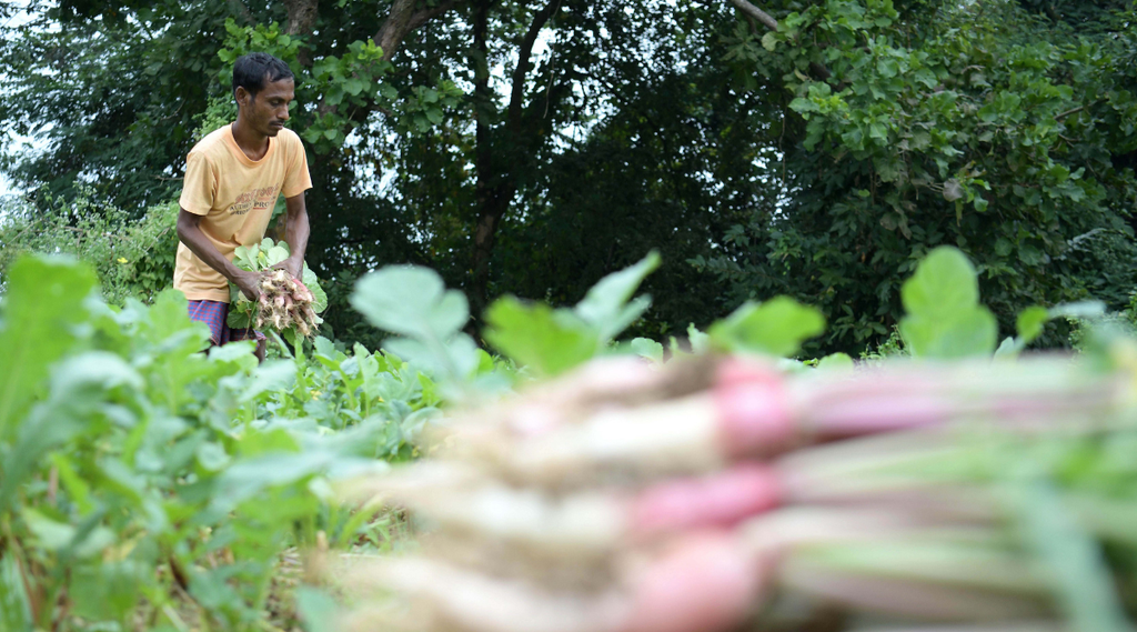 famers, farm sector, india news