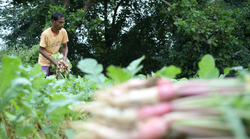 बजट में कृषि ऋण का लक्ष्य बढ़ा 18 लाख करोड़ रुपये कर सकती है सरकार