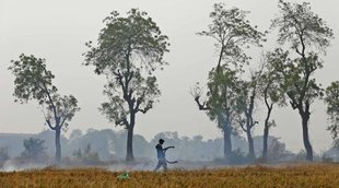 pm kisan, farmer, utility news