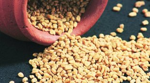 fenugreek