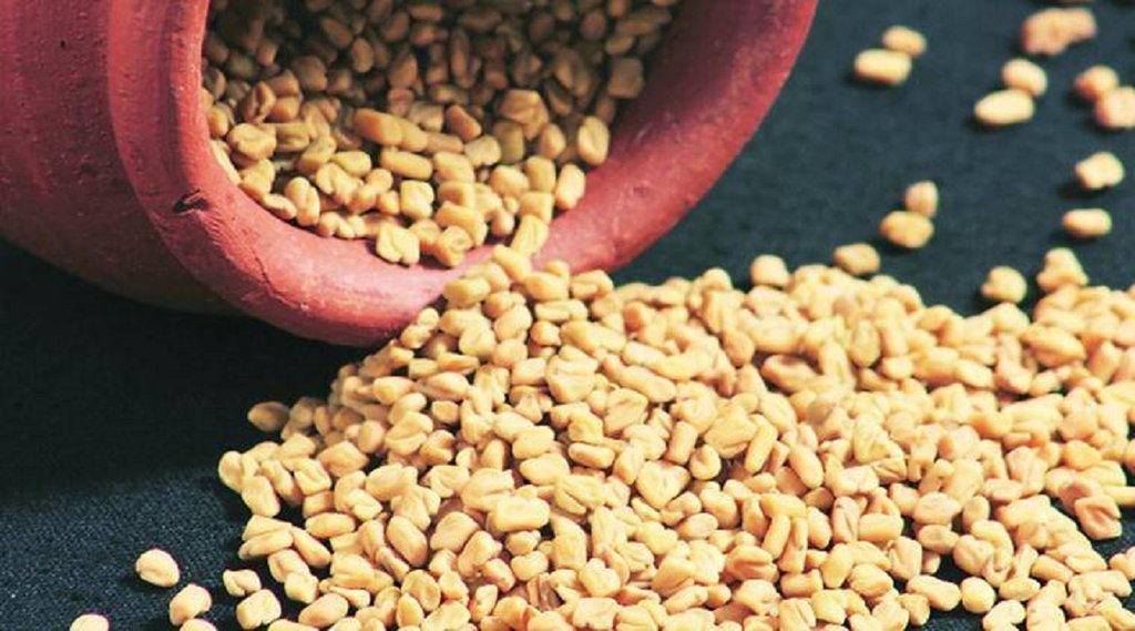 fenugreek