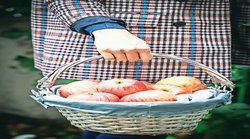 खानपान का रखें ध्यान, फल का सेवन हो फलदायी