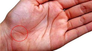 religion, palmistry