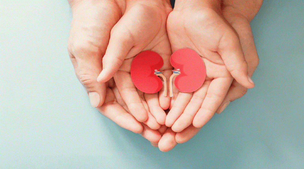 kidney care, kidney health, kidney stone