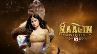 Naagin 6, Ekta kapoor, Naagin