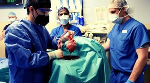 operation, Aemrican surgeon