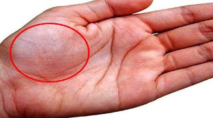 Venus Planet In Hand, palmistry, palm reading, hand parvat prediction, hand planet, shukra parvat in hand, shukra planet in hand, hand line prediction, palm, Palmistry, palmistry lines, hast rekha, हस्तरेखा, हस्तरेखा ज्योतिष, Astrology News in Hindi, Palmistry News in Hindi, Palmistry Hindi News