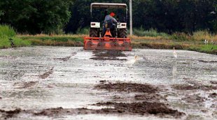pm kisan, farmer, utility news