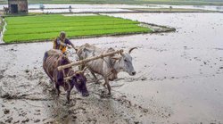 PM Kisan का गलत तरीके से लाभ लेने वालों से की जाती है रिकवरी, योजना में फर्जीवाड़ा रोकने को अब यह दस्तावेज जरूरी