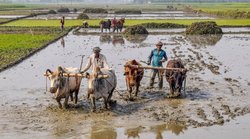 PM KISAN Scheme की कब आएगी 11वीं किस्त और आपको कैसे मिलेगा इसका लाभ? जानिए