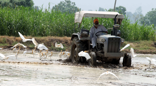 pm kisan, farmers, national news