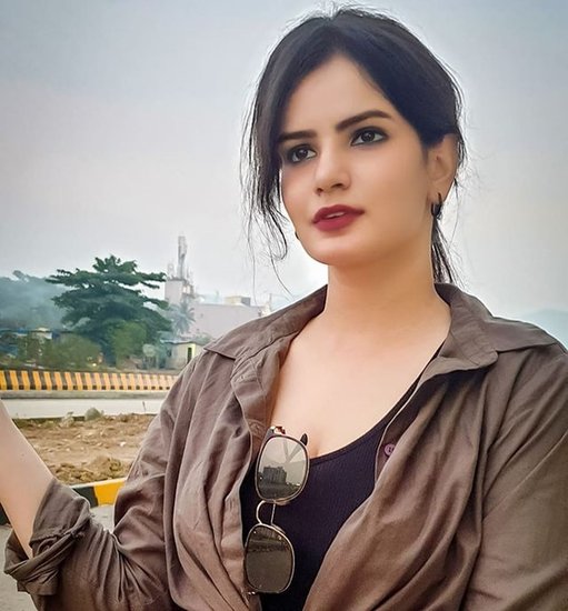 अर्शी ने मुंबई के चर्चित किशोर नमित कपूर एक्टिंग स्कूल से अभिनय के गुर सीखे हैं। पढ़ाई के दौरान उनकी मुलाकात एक बार मशहूर पत्रकार बरखा दत्त से हुई। 
