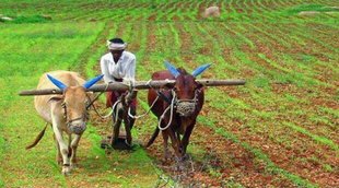 PM Kisan Samman Nidhi, farmer, 2022 general budget,