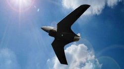 साउथ चाइना सी में गिरे अमेरिकी जहाज को चीन भी कर रहा तलाश, जानिए आखिर दुश्मन देश की मदद क्यों कर रही जिनपिंग की सेना