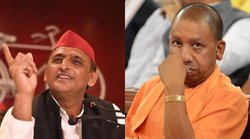 अखिलेश यादव ने योगी आदित्यनाथ पर कसा तंज, कहा- लैपटॉप चलाना तो दूर ये सांड भी नहीं पकड़ पा रहे