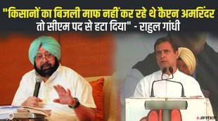 Rahul Gandhi, Punjab Election 2022, Election 2022, Punjab Chunav 2022