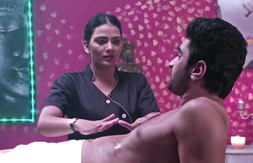 अनुपमा पहली बार 'रिस्कनामा' फिल्म में नोटिस हुई थीं। इसके वह 'रीति रिवाज तिजारत', 'लवली मसाज पार्लर', वुडपिकर और फर्जी काका में नजर आईं।