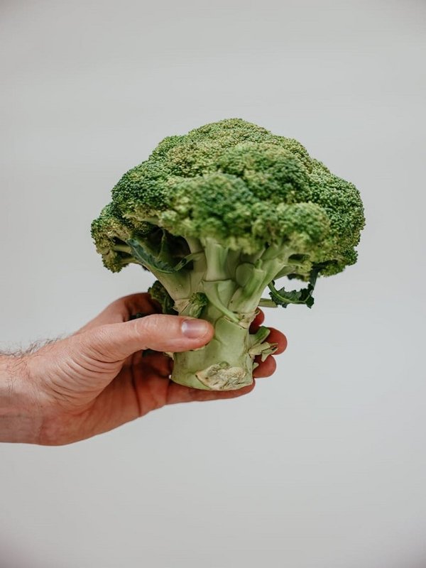 BROCOLI RICH IN FIBRE