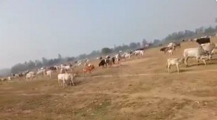 Barabanki