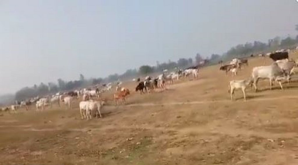 Barabanki