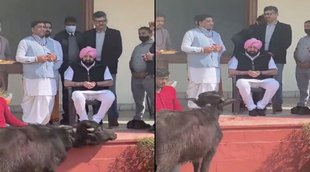 Captain Amarinder Singh