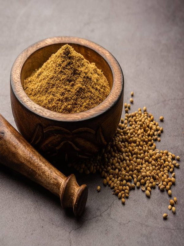 Indian spice Heap of Coriander powder or Dhaniya Powder or Chinese parsley dried seeds, selective focus