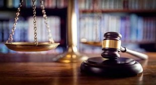 Madhya Pradesh, MP High Court, inter caste marriage, court on love marriage