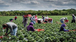 Farmers Under E shram Card