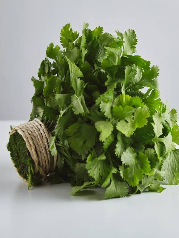 Green coriander