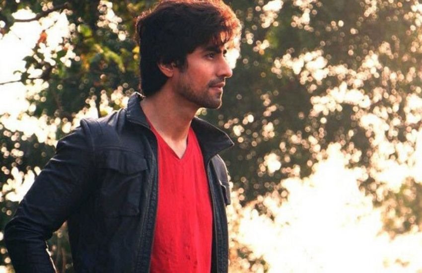 हर्षद का कहना था कि वह सिंगल हैं और केवल अपने काम पर ही ध्यान देना चाहते हैं। यदि उनके पास दूसरी चीजों पर ध्यान देने का वक्त होता तो वह सिंगल नहीं होते।