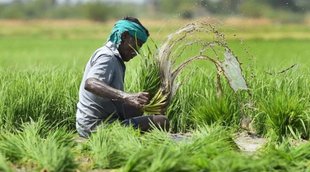 PM Fasal Bima Yojana News