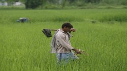 PM Kisan Scheme: यहां 1 लाख से अधिक किसान योजना का नहीं ले पा रहे लाभ, कहीं आपके साथ तो नहीं हुआ ऐसा?