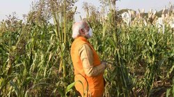 हैदराबाद पहुंचे पीएम मोदी ने खेत से तोड़कर चबाया चना, वायरल वीडियो देख लोग करने लगे ऐसे कमेंट्स