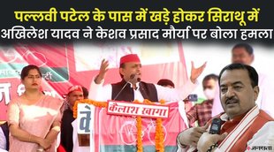 Up election news