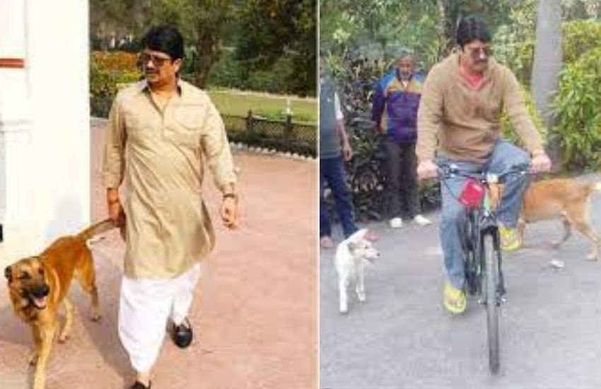 राजा भैया ने बताया कि विधानमंडल में जो कुछ हुआ वह बहुत लोकतंत्र की बेहद शर्मनाक घटना थी लेकिन आत्मरक्षार्थ उन्होंने भी ग्लास और माइक फेंके थे।