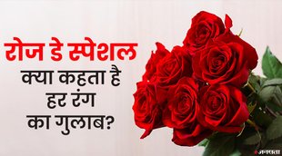 Rose Day