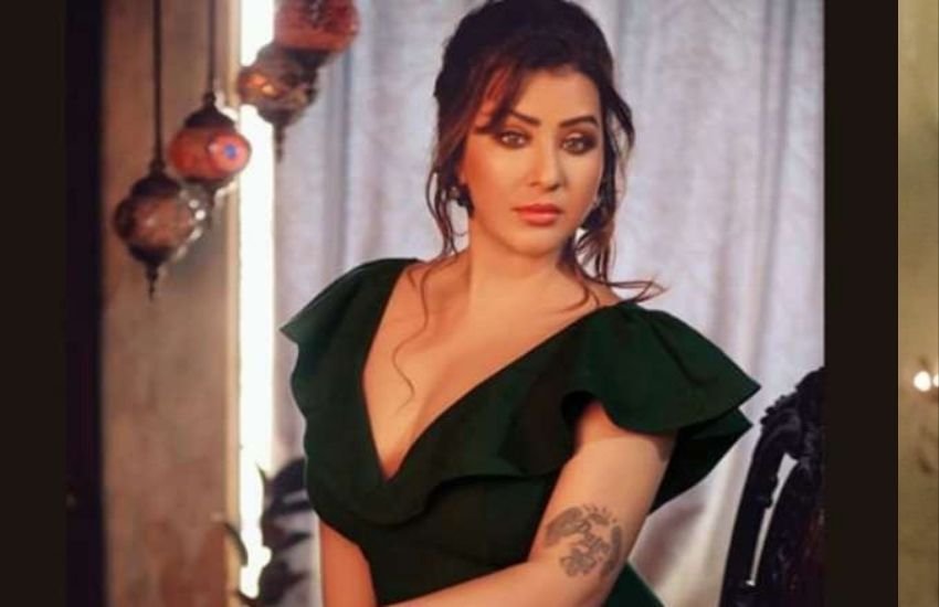 पीरियड ड्रामा सीरीज पौरषपुर एक ऐसी वेब सीरीज हैं जिसमें प्यार, वासना और बदले की कहानी दिखाई गई है। शिल्पा शिंदे ने इस सीरीज में हद से ज्यादा बोल्ड सीन दिए हैं। उनकी इस सीरीज को देखने के बाद लोग उनकी तुलना रेखा से हो रही है।