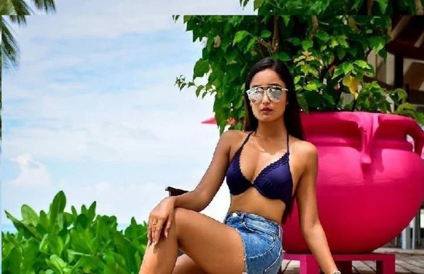 सीरीयल के बाद वह सीधे ओटीटी प्लेटफार्म पर आ गईं और छा गईं। Photos: Social Media