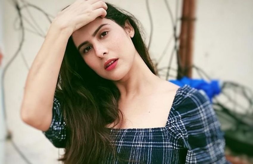 विक्रांत मैसी की वाइफ शीतल मॉडल और एक्ट्रेस हैं।