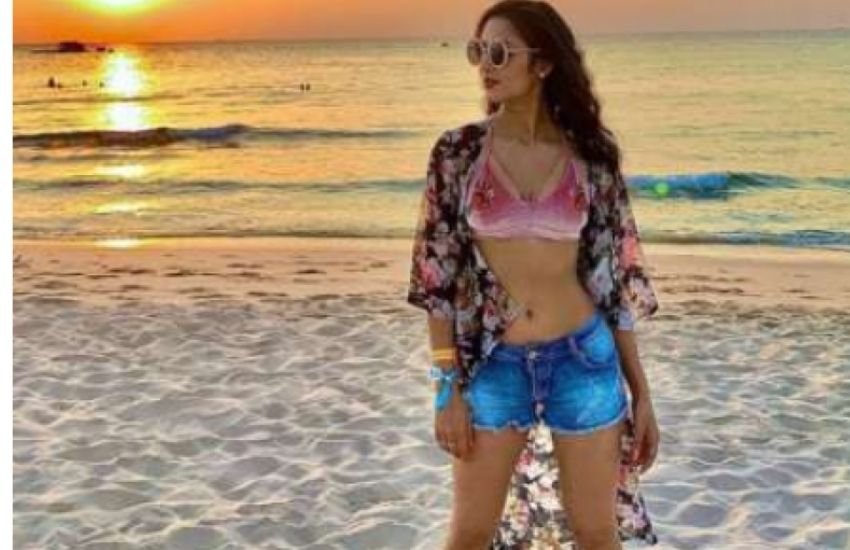 विदिशा ने अपने मॉडलिंग करियर की शुरुआत साल 2006 में की थी।