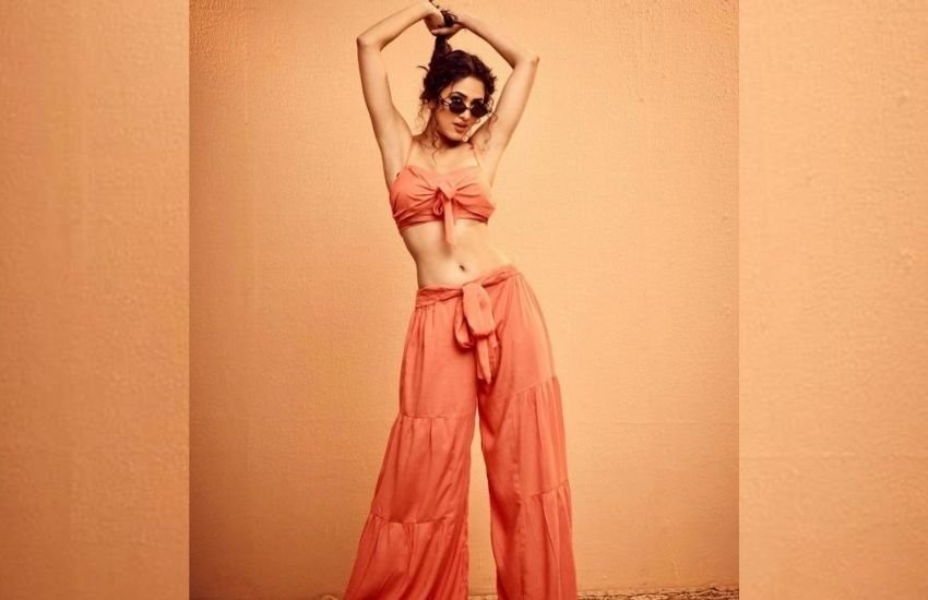 विदिशा ने एकता कपूर के सुपरहिट सीरियल 'ये है मोहब्बतें' के जरिए टीवी की दुनिया में एंट्री मारी थी। आखिरी दफा उन्हें 'कहत हनुमान जय श्रीराम' में देखा गया था। 