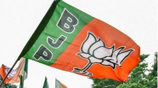 new delhi, adr report, political fund, political money, bjp 70%, bsp