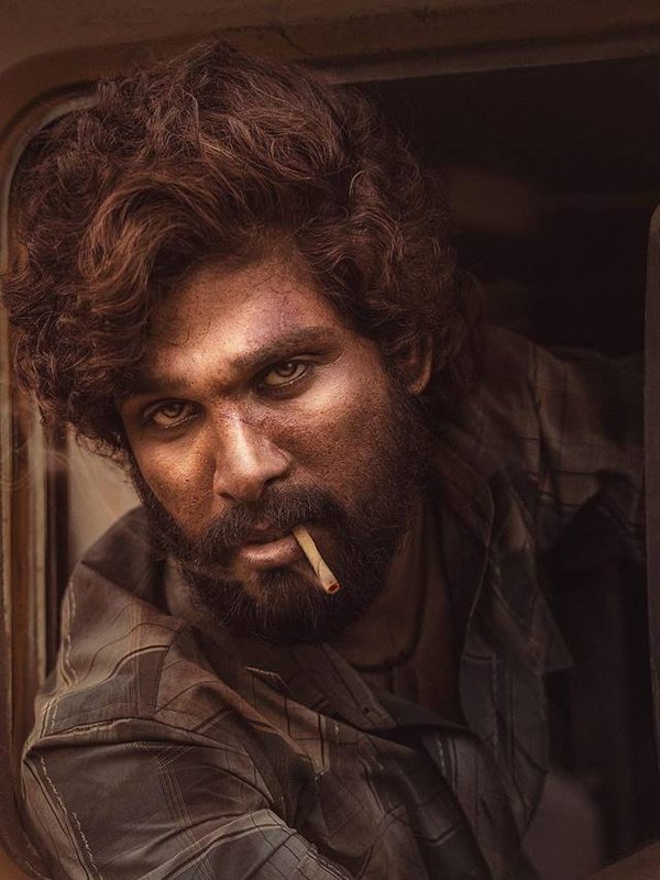 allu arjun stylish movies